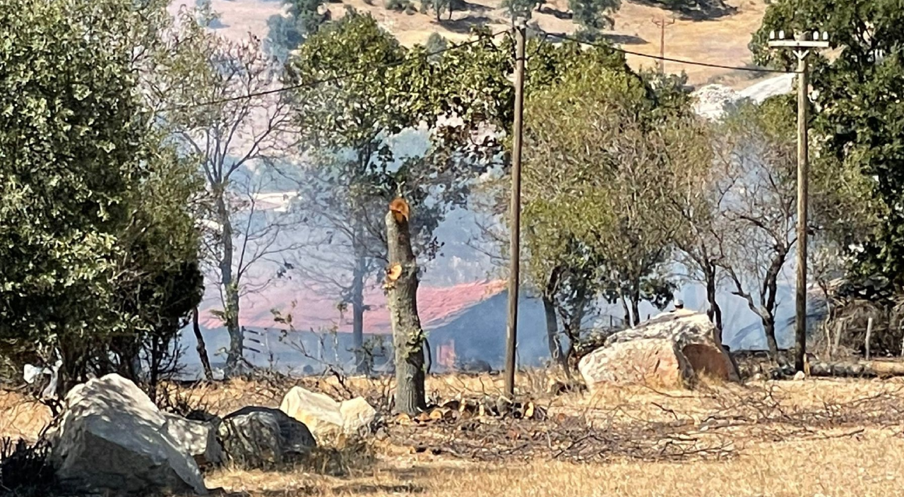Çanakkale'de orman yangını! Havadan müdahale ediliyor